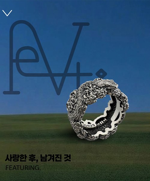 Fe.V Ring - Campaign