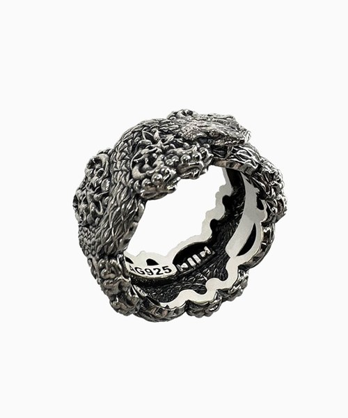 Fe.V Ring II