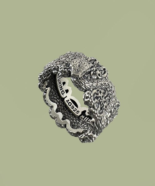 Fe.V Ring III