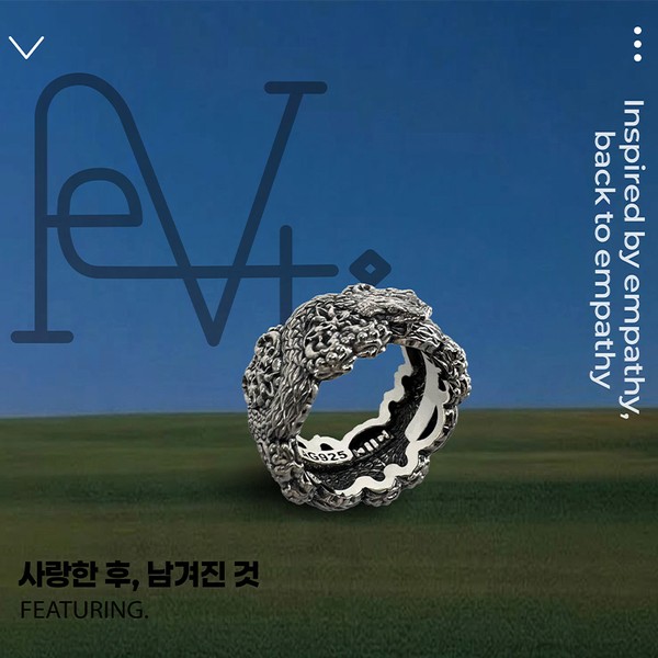 Fe.V Ring campaign